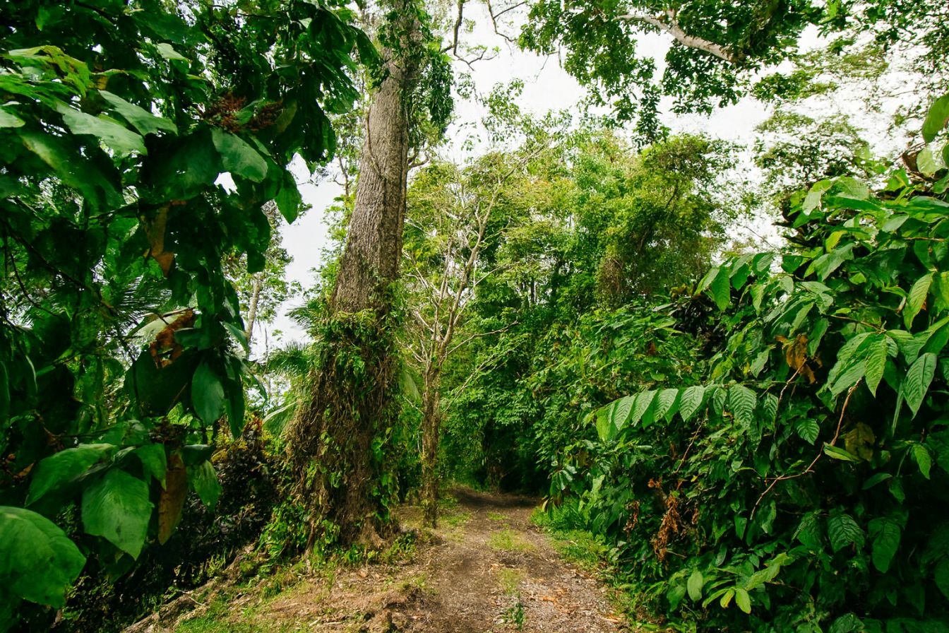our photo from Corcovado National Park